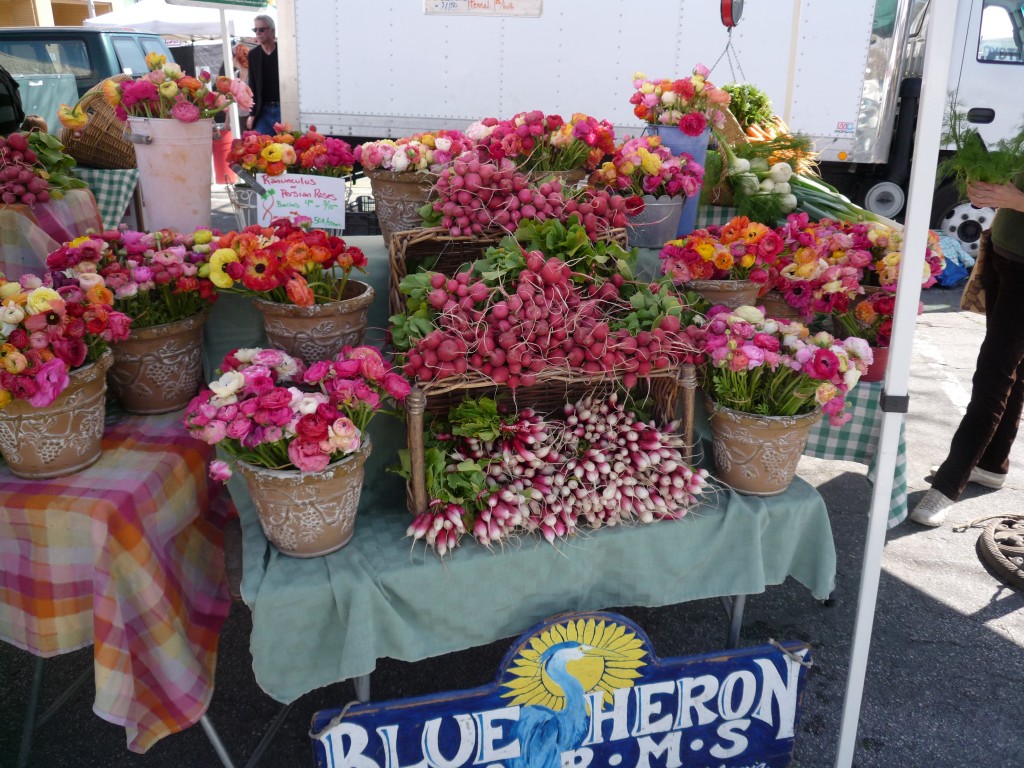 Flowers and Radishes