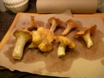 Cleaning chanterelles