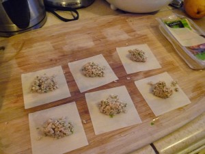 Fill gyoza wrappers for quick raviolis