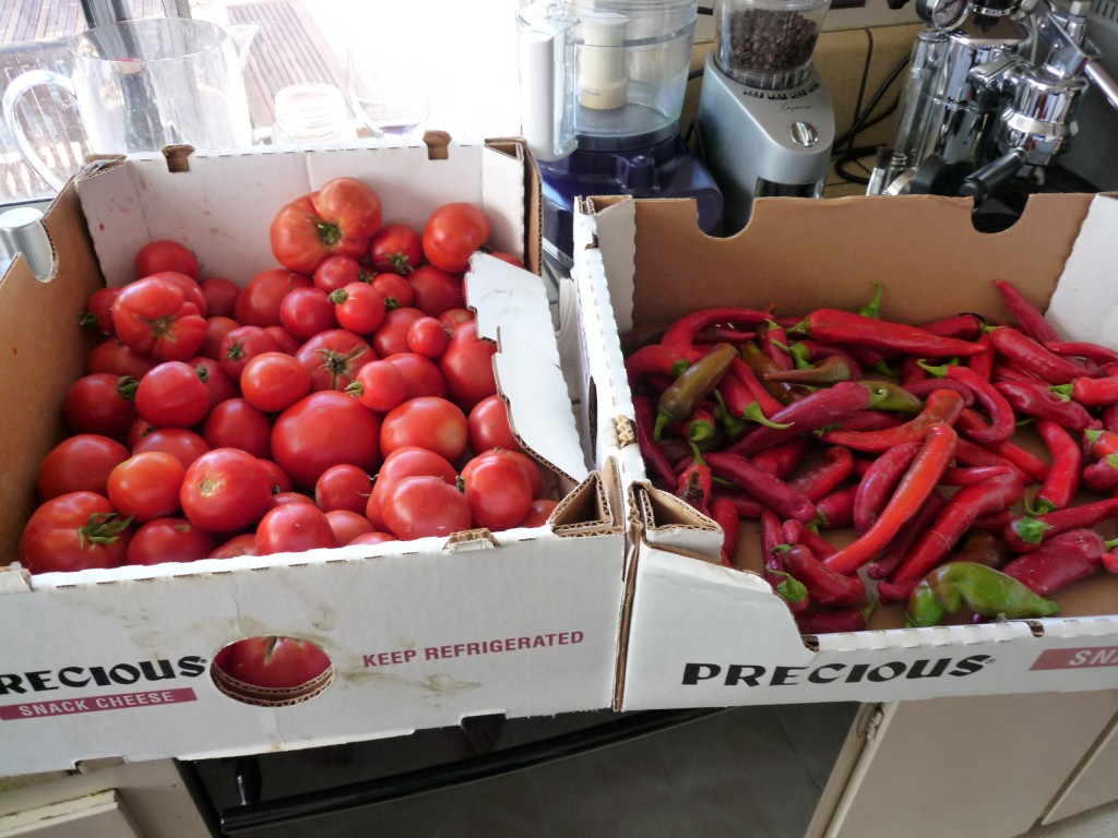 Tomatoes and Peppers