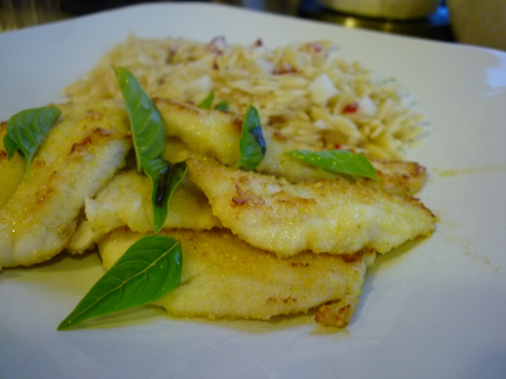 Filet of sole with orzo salad