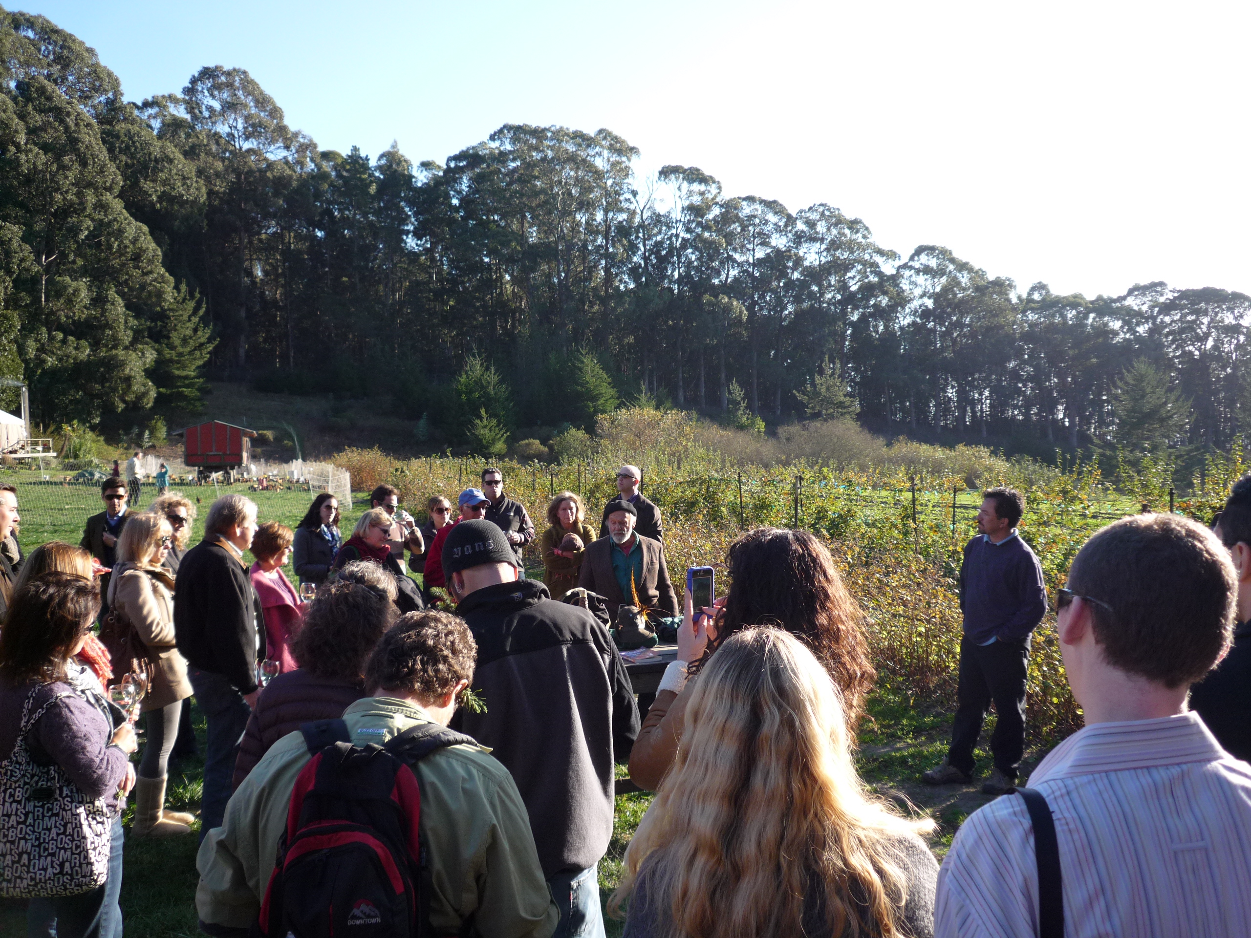 Hearing about fungus