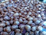 Soaking Cranberry Beans