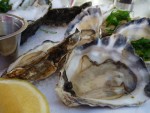 Rock oysters
